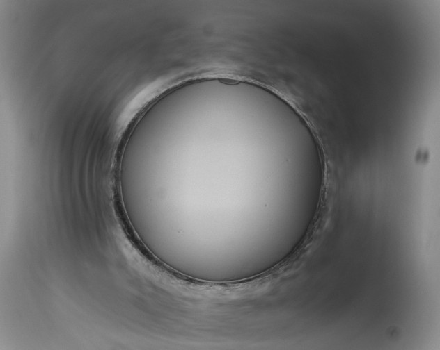 X0000115450007200911181558