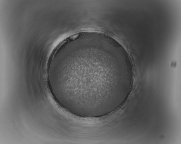 X0000115450008200911181558