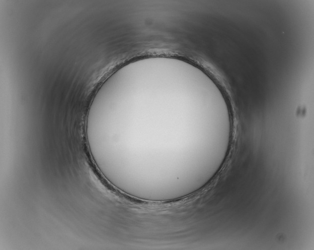 X0000115450009200911181558