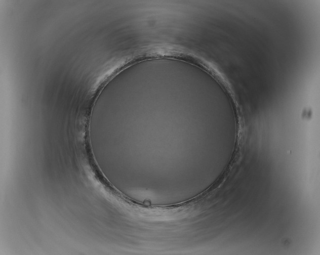 X0000115450010200911181558