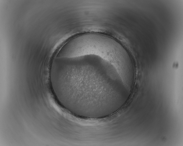 X0000115450012200911181558