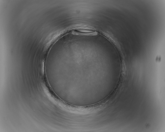 X0000115450014200911181558