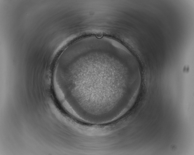 X0000115450016200911181558