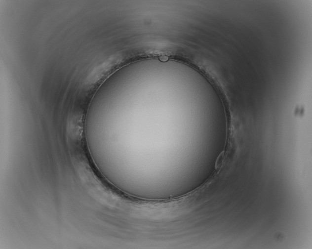 X0000115450017200911181558