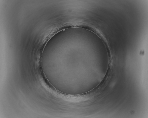 X0000115450018200911181558