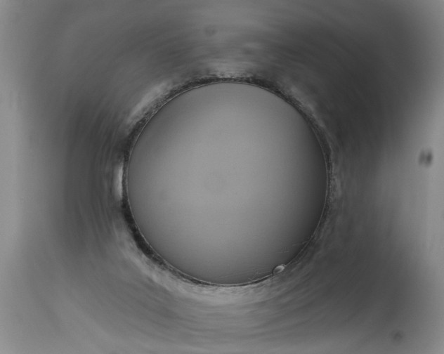 X0000115450019200911181558