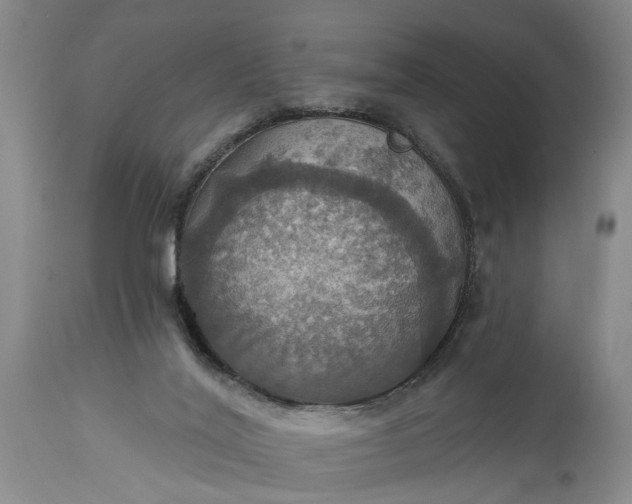 X0000115450020200911181558