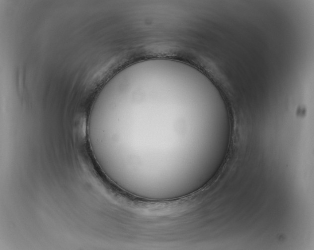 X0000115450021200911181558