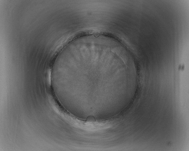 X0000115450022200911181558