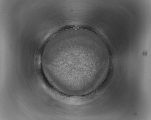 X0000115450024200911181558