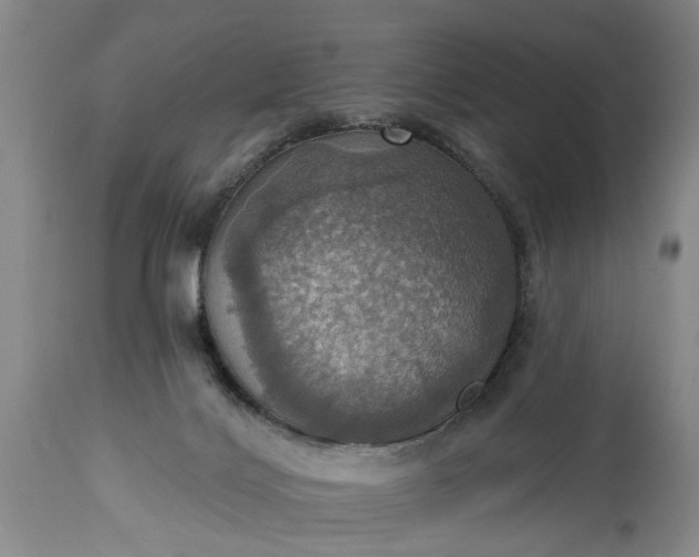 X0000115450028200911181557