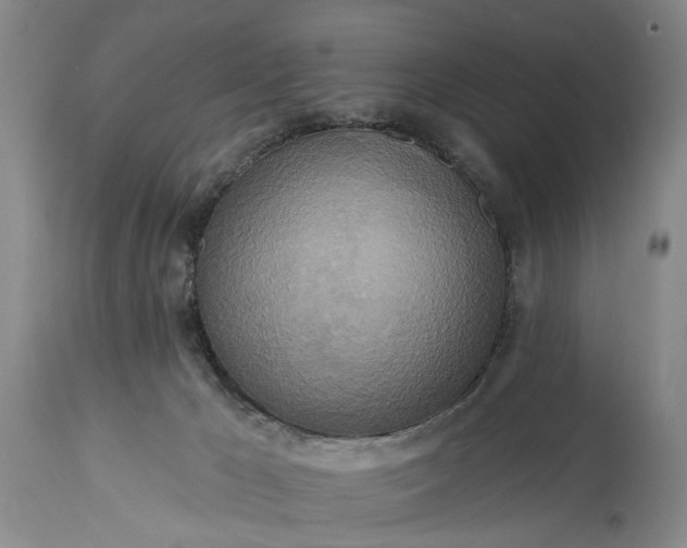 X0000115450029200911181557