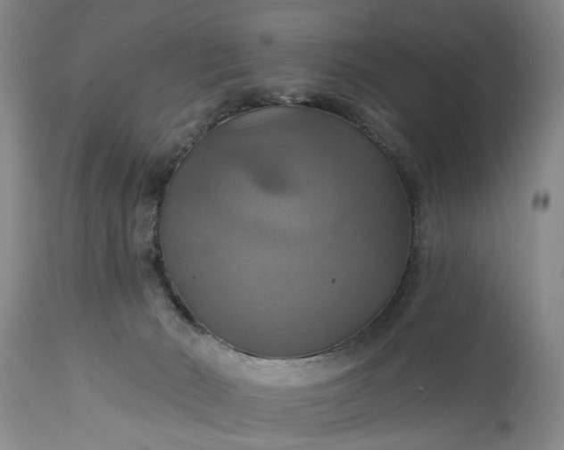 X0000115450030200911181557