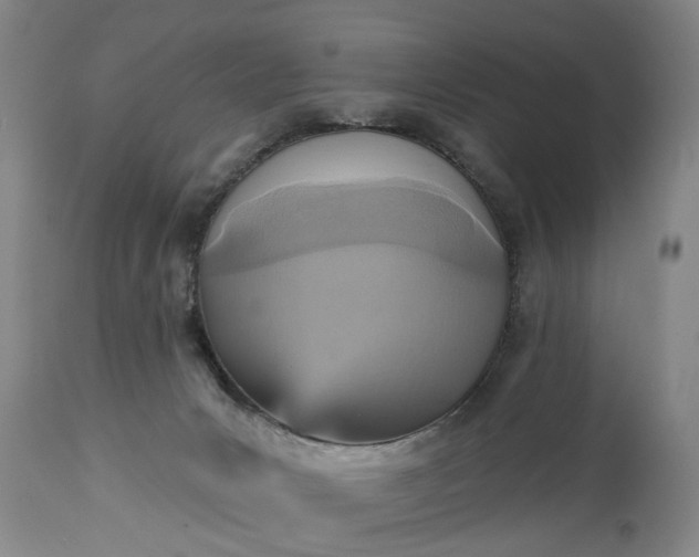 X0000115450031200911181557