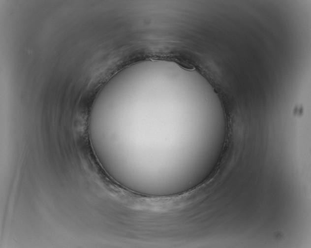 X0000115450033200911181557