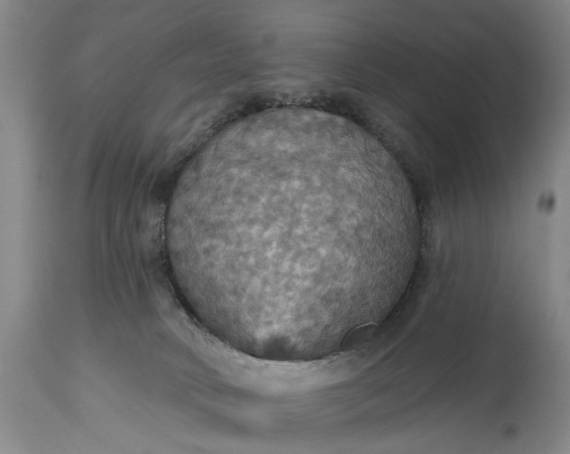 X0000115450034200911181557