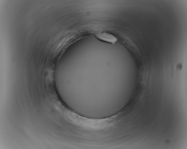 X0000115450035200911181557