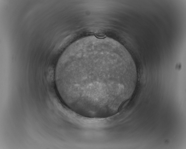 X0000115450036200911181557