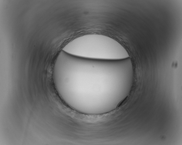 X0000115450037200911181557