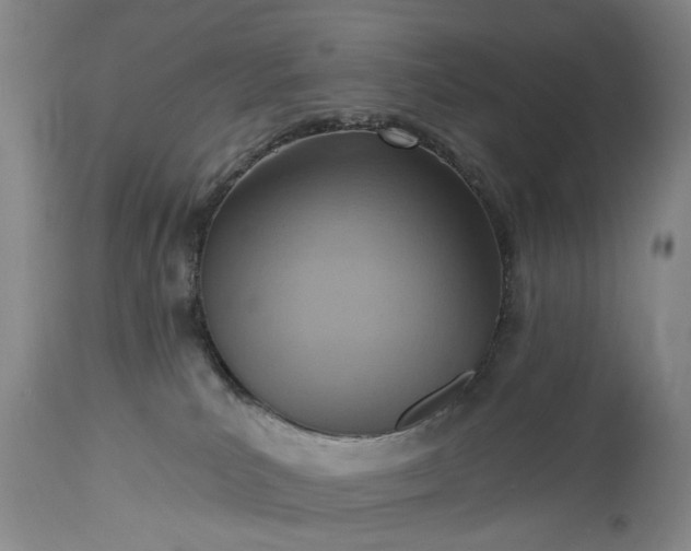 X0000115450039200911181557