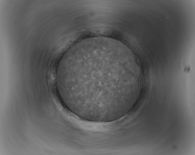 X0000115450040200911181557