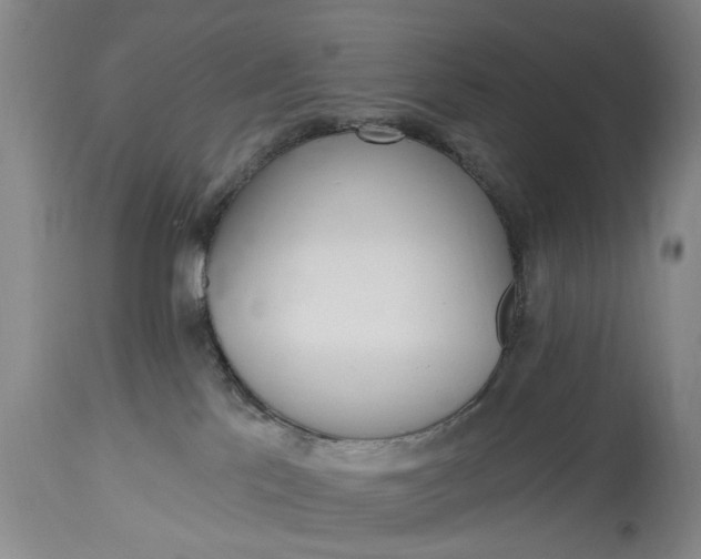 X0000115450041200911181557