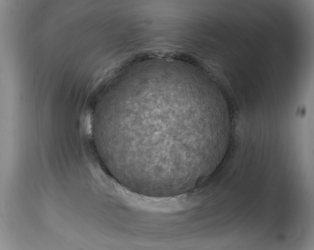 X0000115450042200911181557