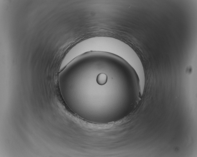 X0000115450043200911181557