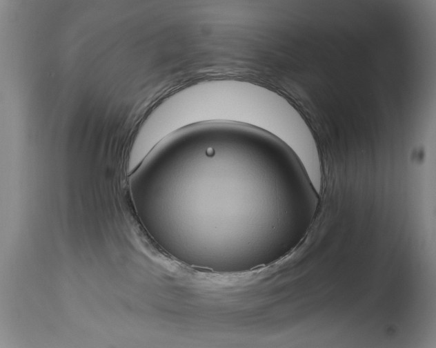 X0000115450045200911181557