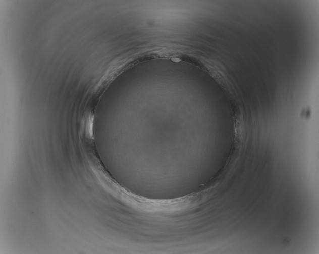 X0000115450046200911181557