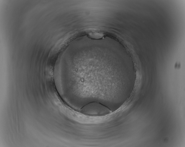 X0000115450048200911181557