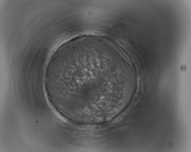 X0000115450049200911181557