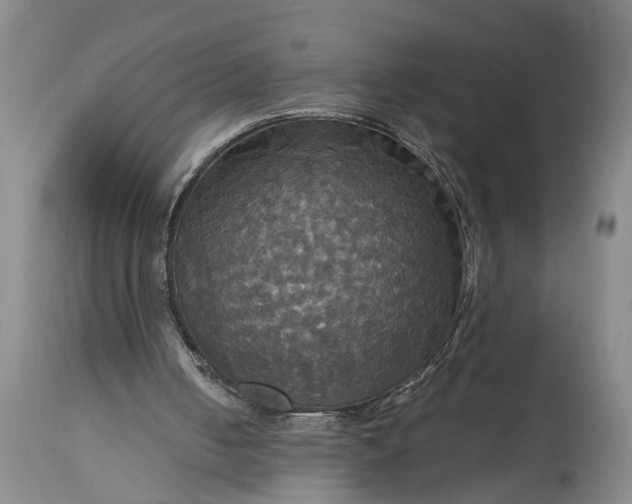 X0000115450050200911181557