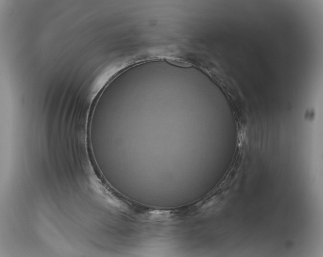 X0000115450052200911181557