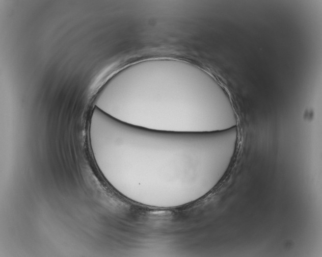 X0000115450053200911181557