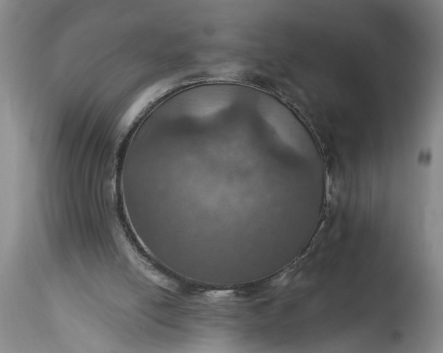 X0000115450054200911181557