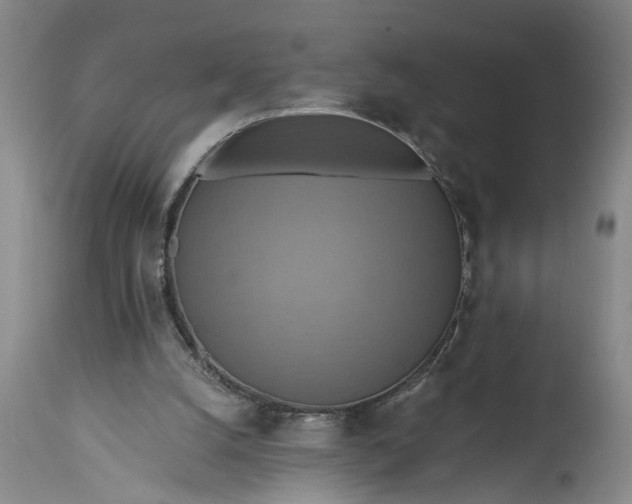 X0000115450056200911181557