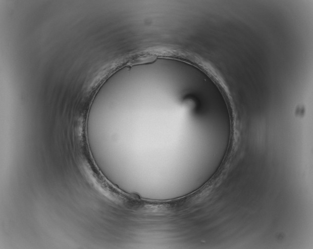 X0000115450057200911181557