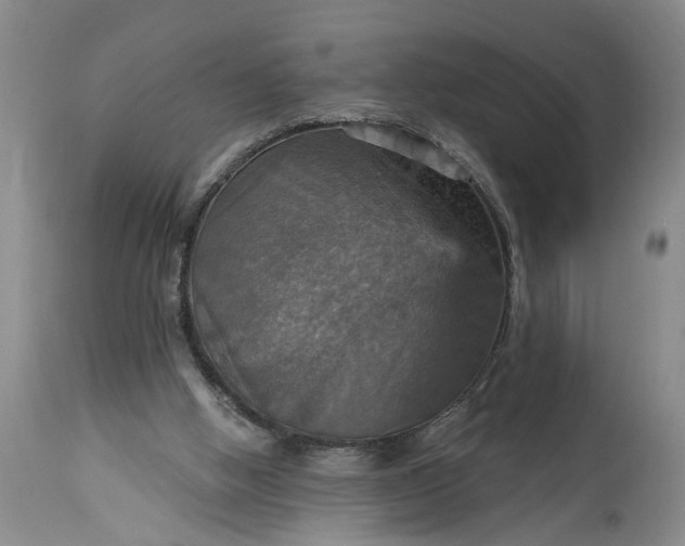 X0000115450058200911181557