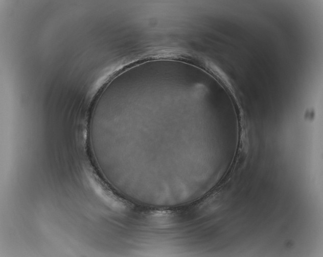 X0000115450059200911181557