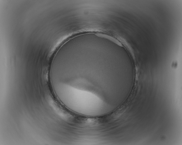 X0000115450060200911181557