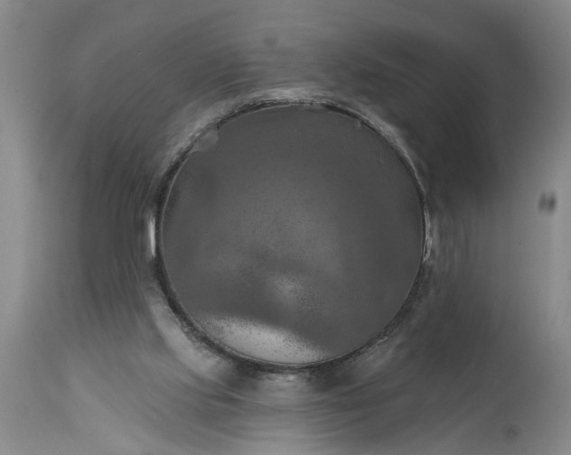 X0000115450061200911181557