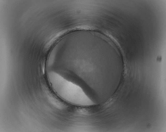 X0000115450062200911181557