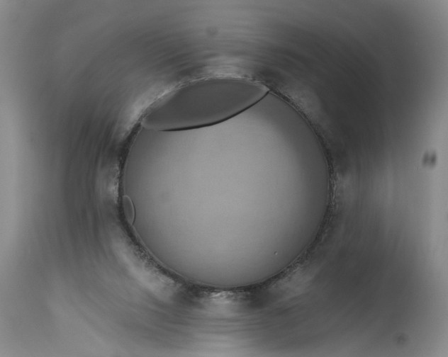 X0000115450064200911181557