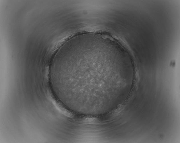 X0000115450066200911181557