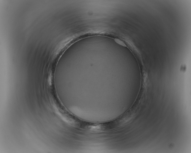 X0000115450068200911181557