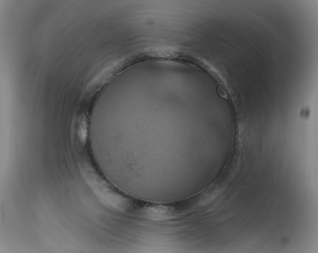 X0000115450069200911181557