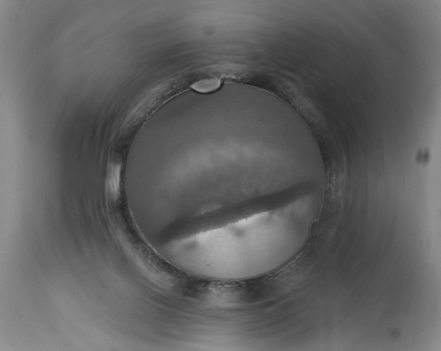 X0000115450070200911181557