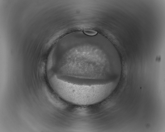 X0000115450071200911181557