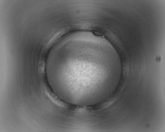 X0000115450072200911181557